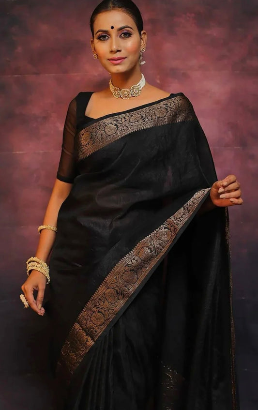 Black Patola kanjeevaram